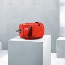 Kunz Meissen - Produkte Bild: Kunz Meissen - Produkte